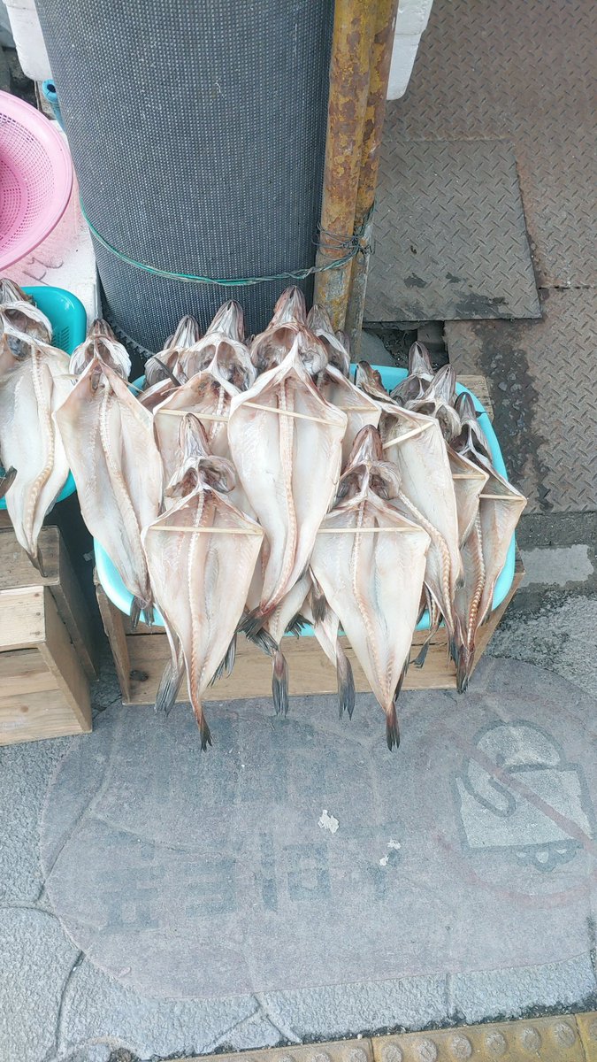 자흔이네 연탄집 tweet media