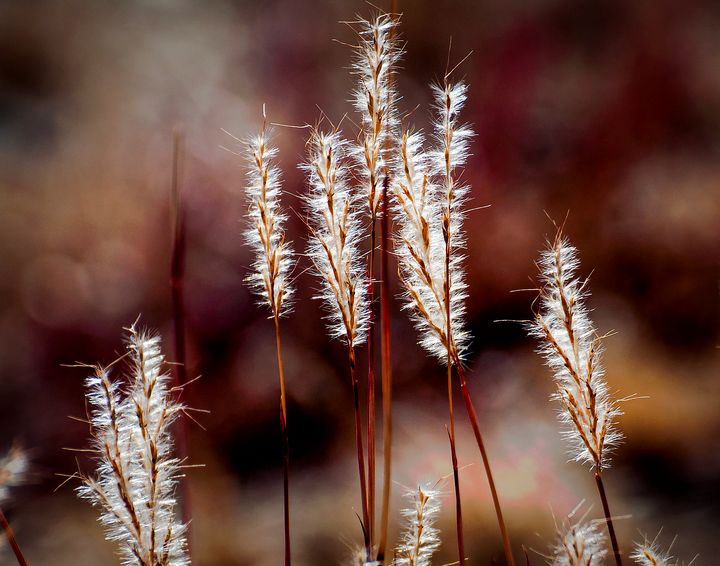 John  Bartelt tweet media