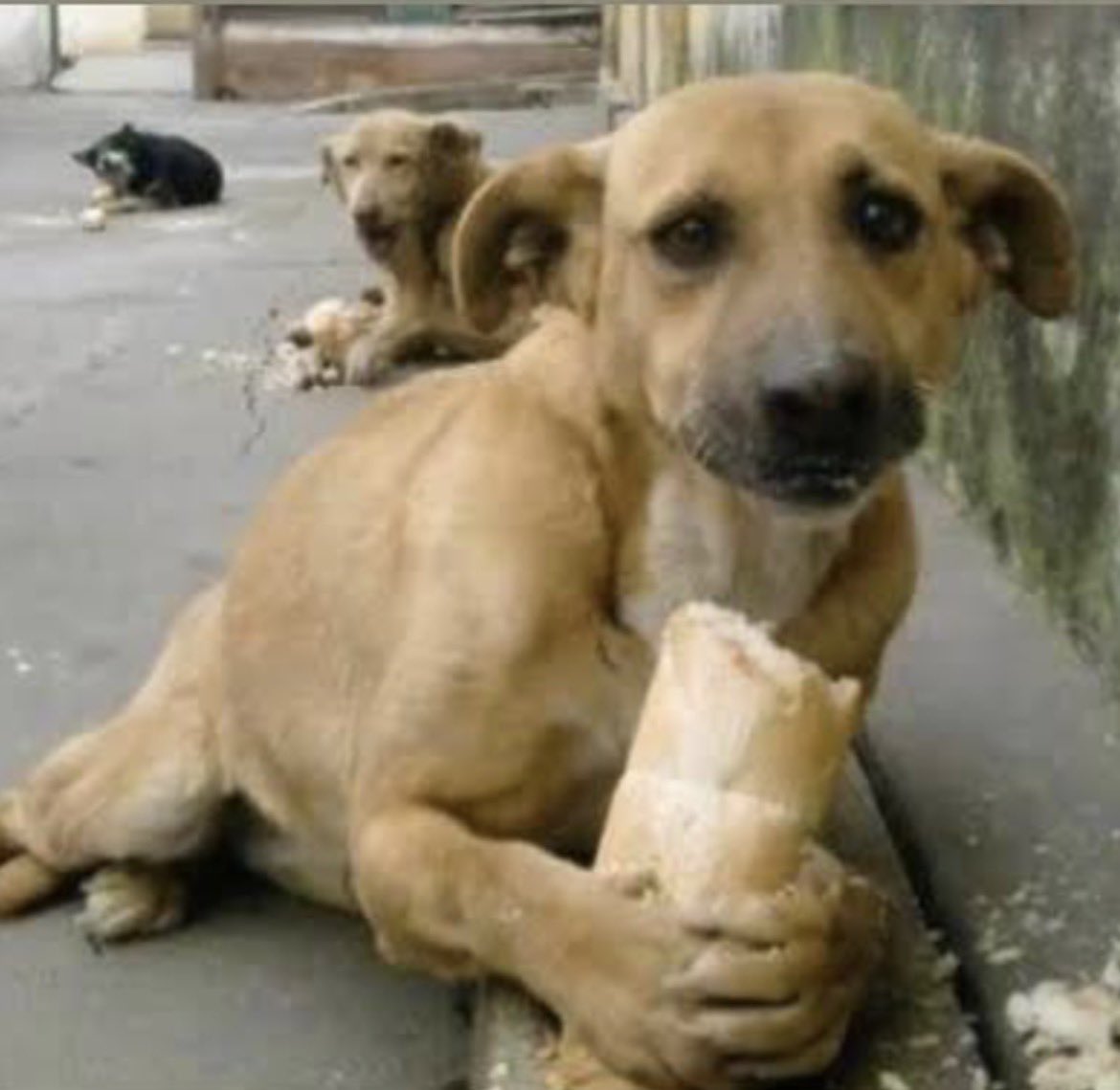 swizzlecan tweet media