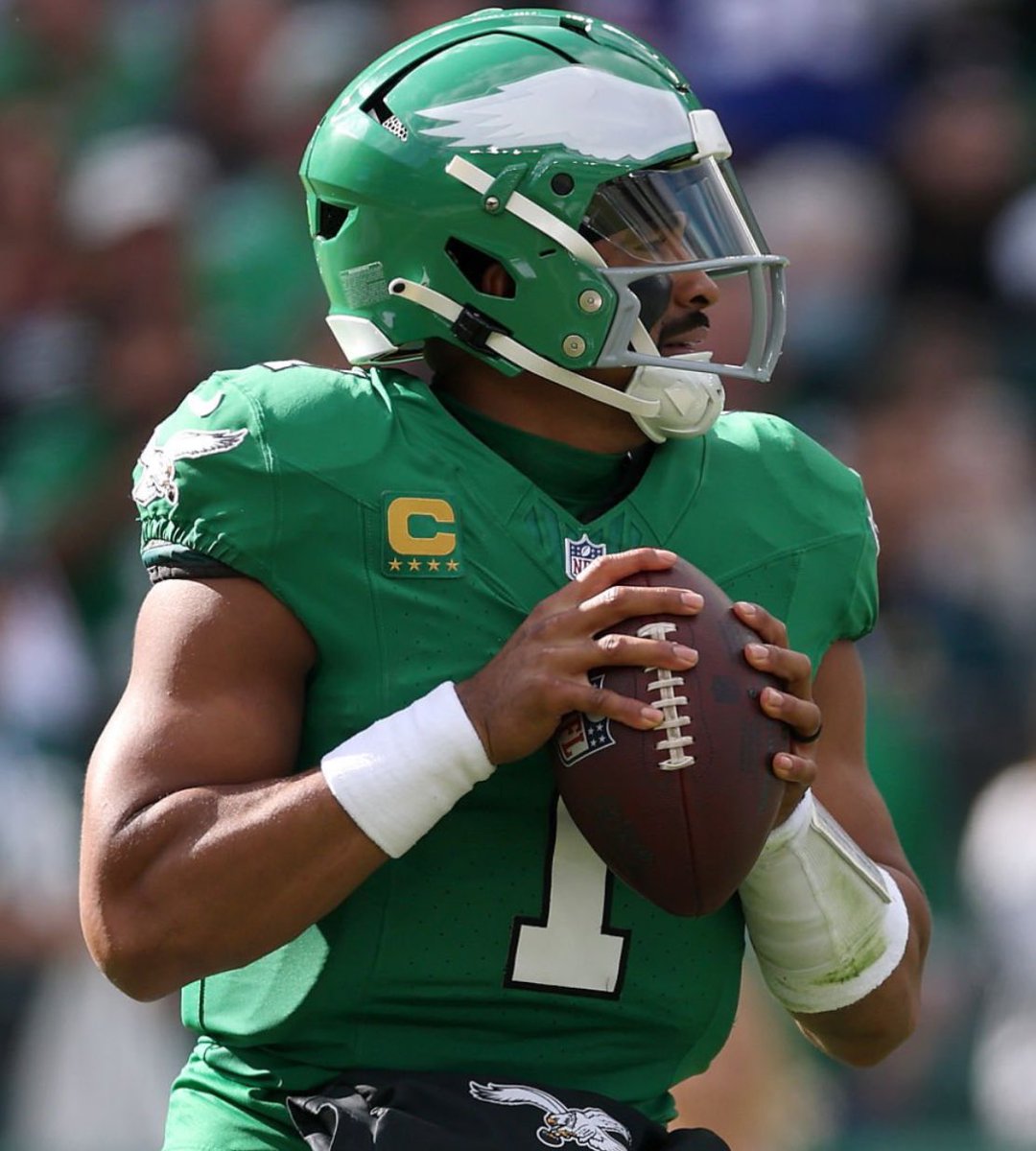 All About The Birds tweet media