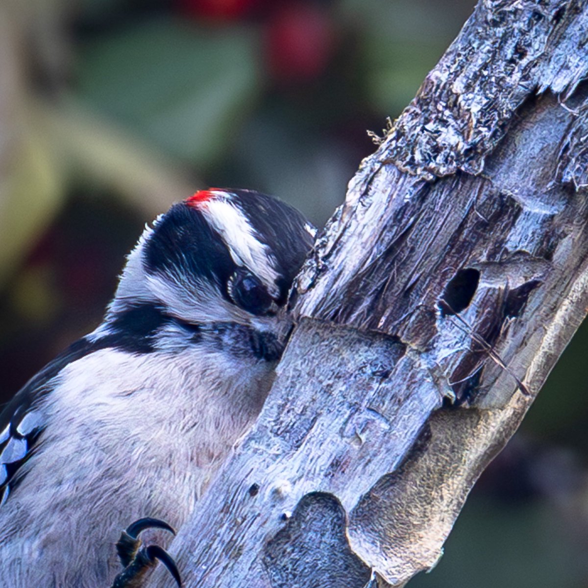 Dan Stambaugh tweet media