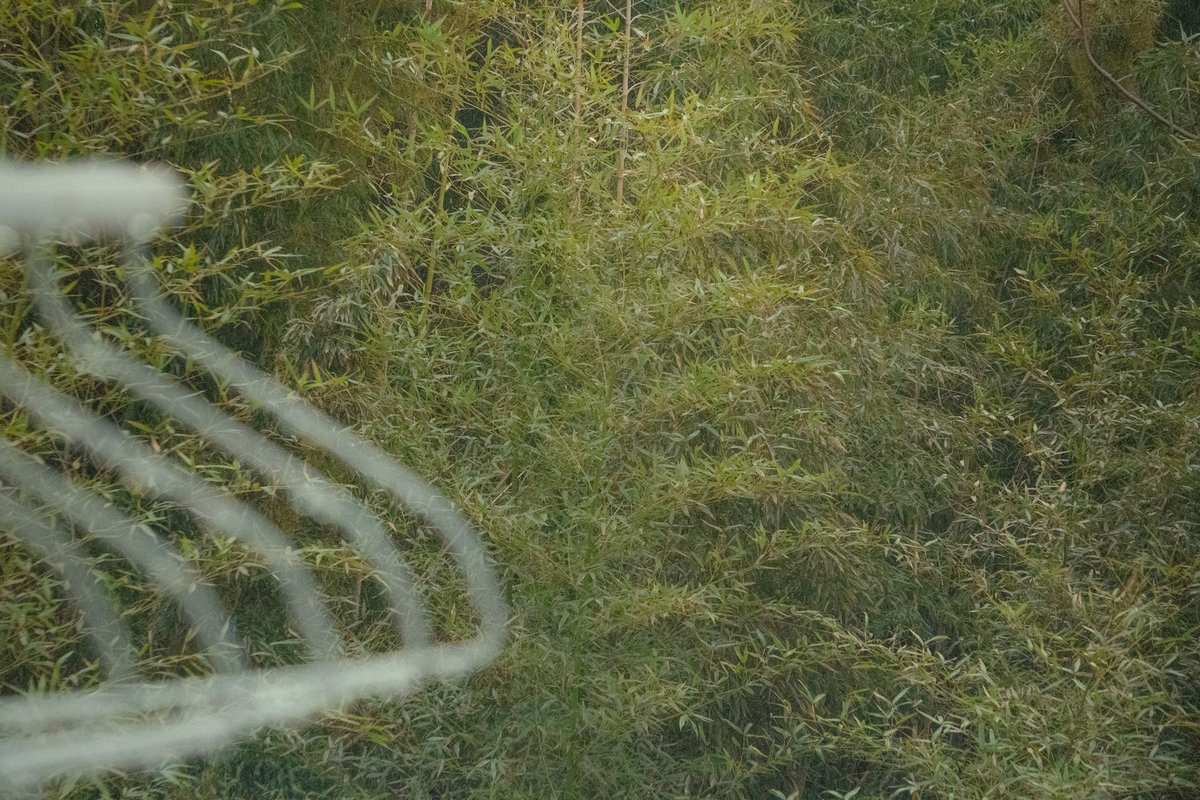 Akari | 街とカフェのsnap tweet media