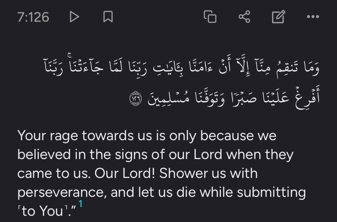 HIDDEN GEM 💎 tweet media