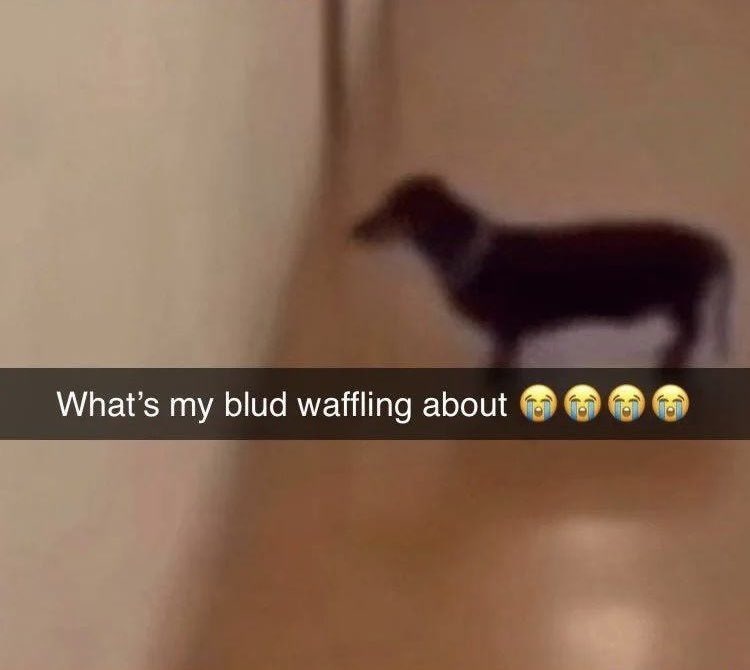 Chance :) tweet media