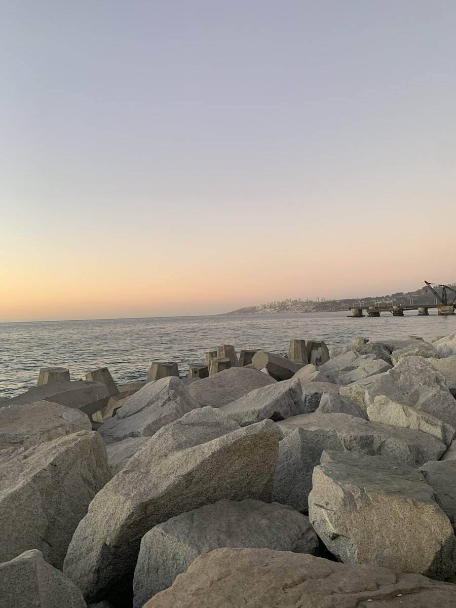 ViñaDenuncia tweet media