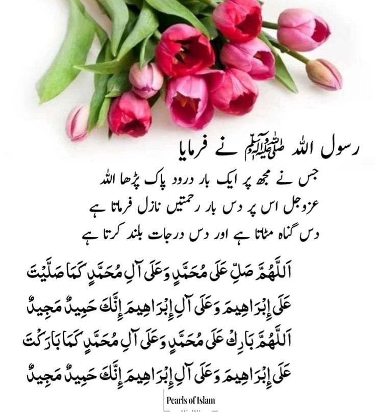 گمنام tweet media