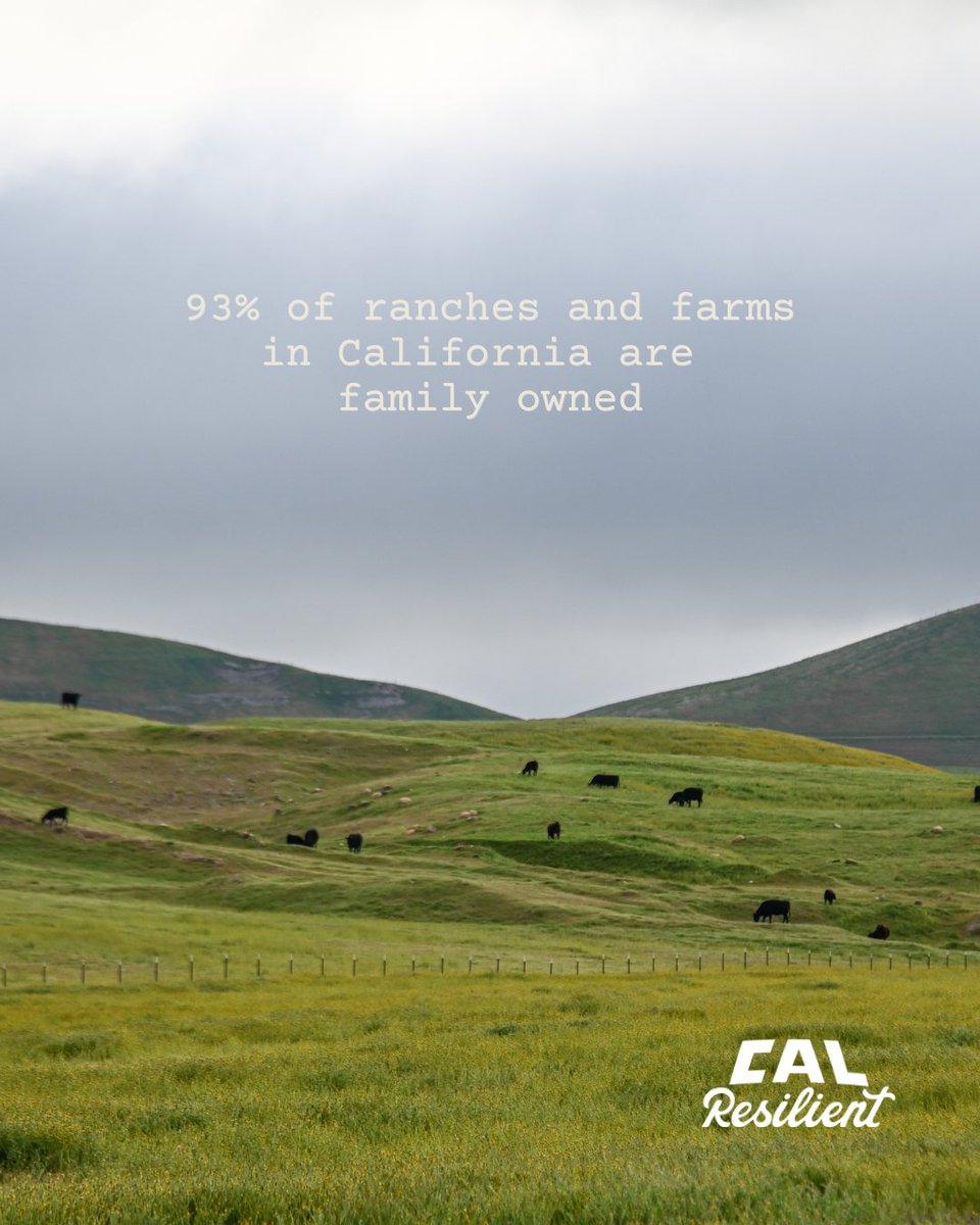 CalResilient's tweet photo. Here's a great fact about California to share on this #NationalAgWeek! 🤠 https://t.co/6y3ZSenyDd