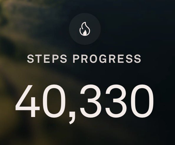 Carilyn Johnson tweet media