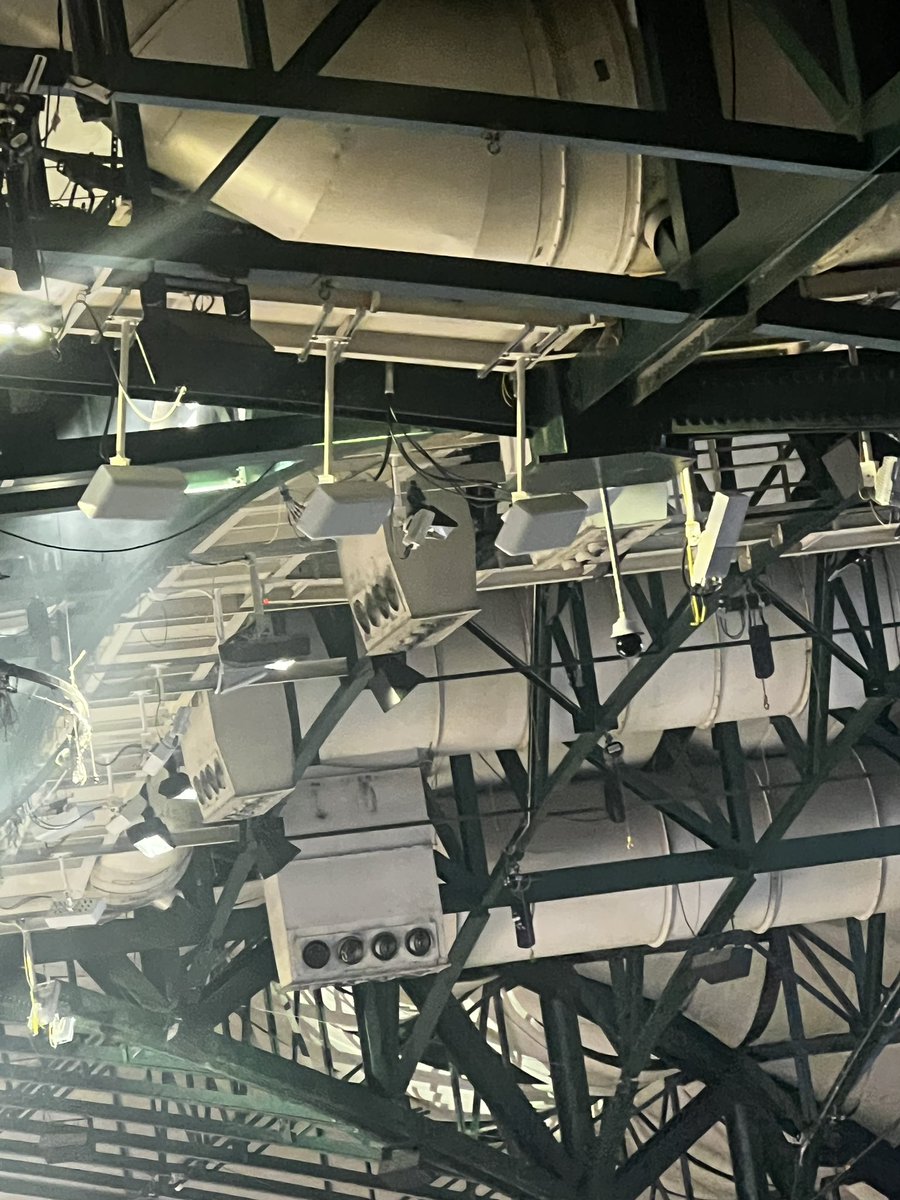 Golah Fish tweet media