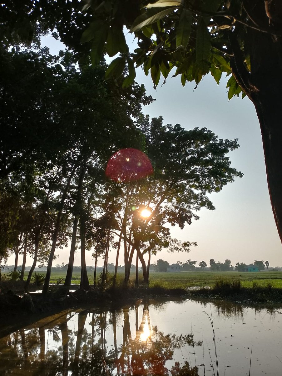 𝐀𝐔𝐑𝐈 🌸 tweet media