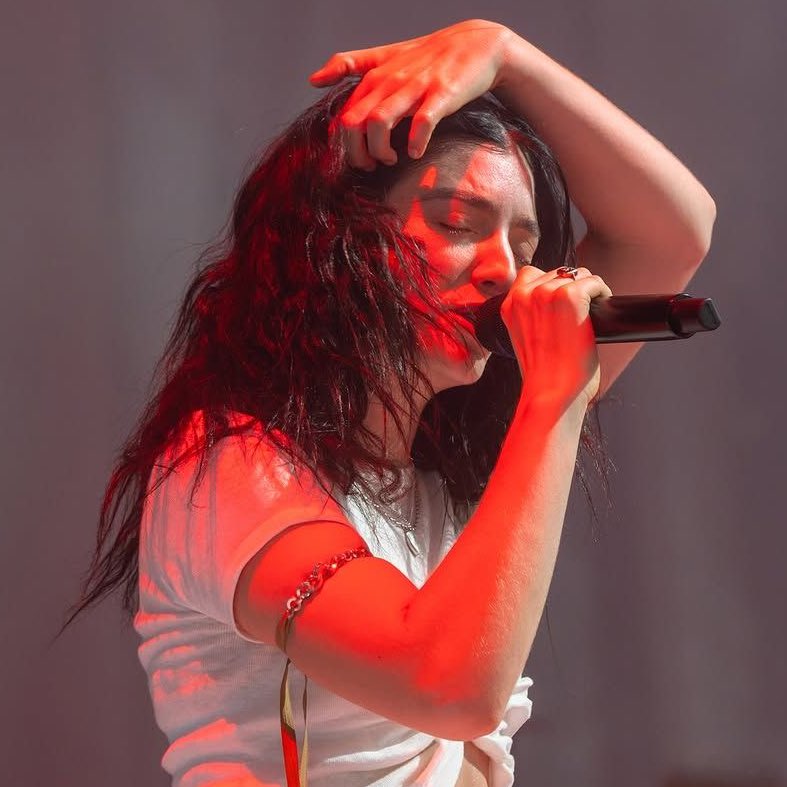 acervo lorde tweet media