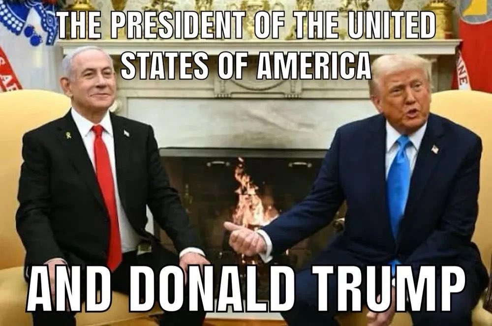 Eh, what’s up Doc  tweet media