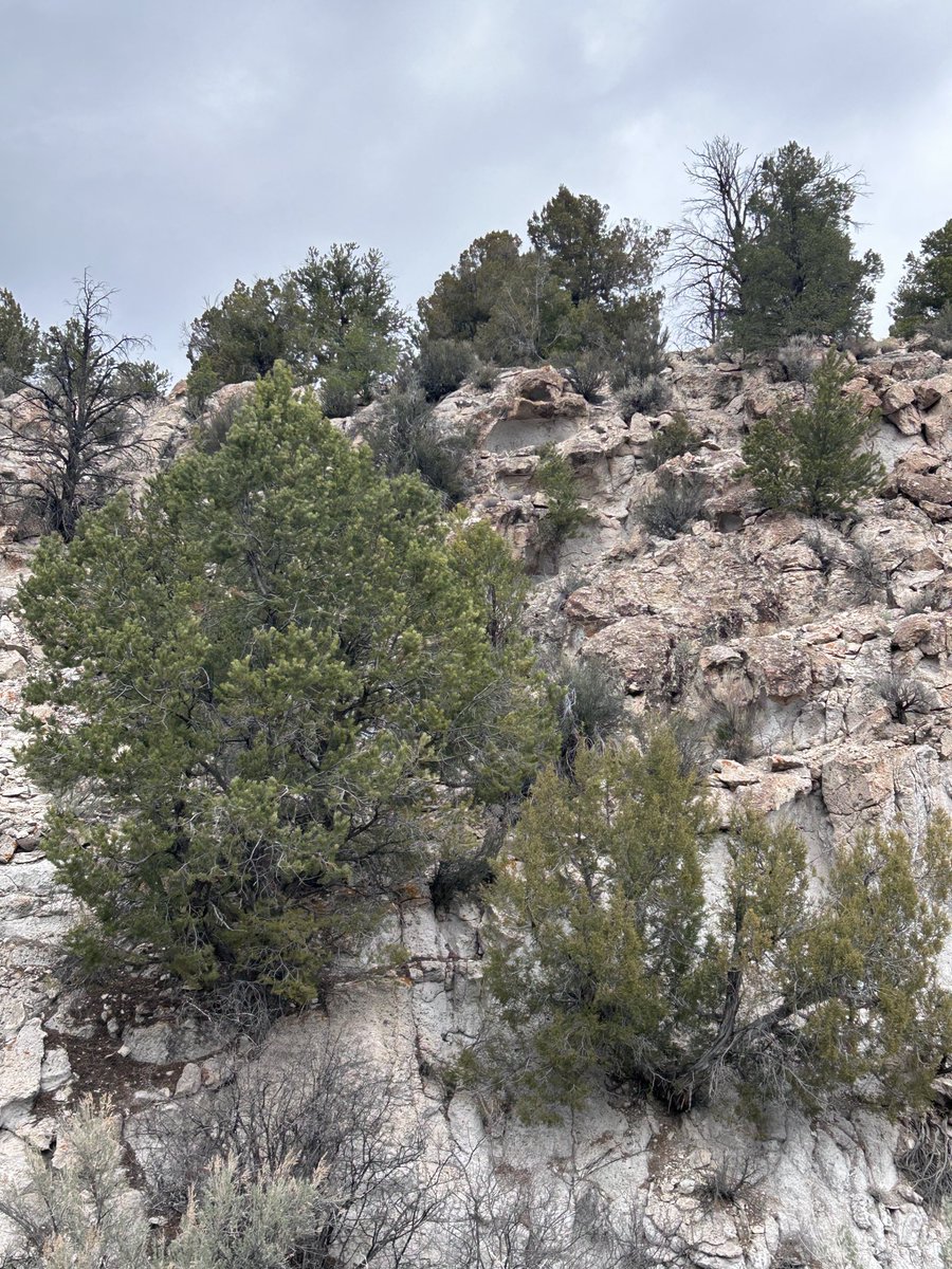 Michelle Muse tweet media