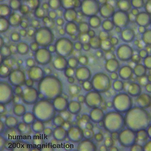 All day Astronomy tweet media