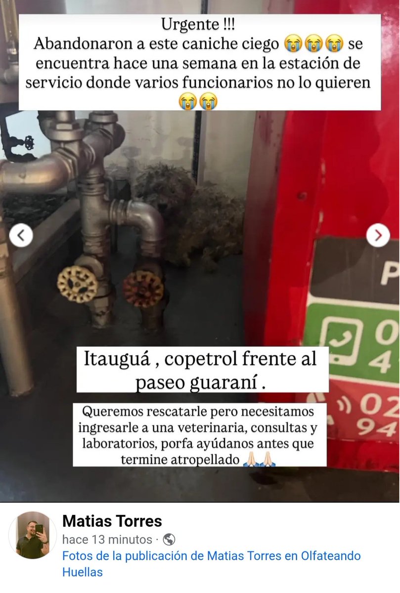 Claudiaz🖤 tweet media