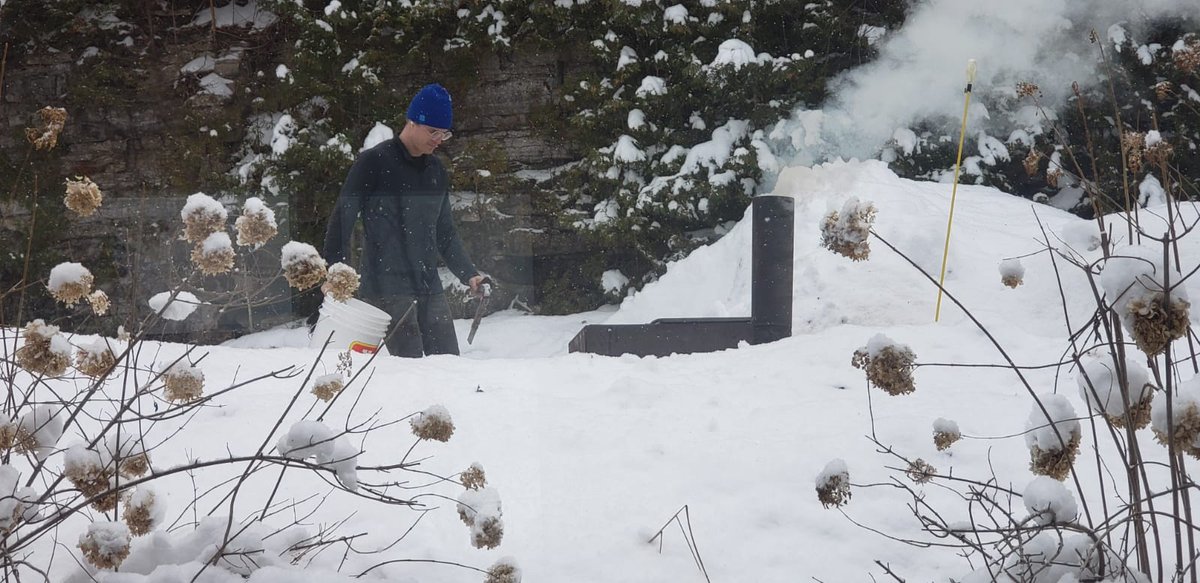 🍊Brüçe d'Orange tweet media