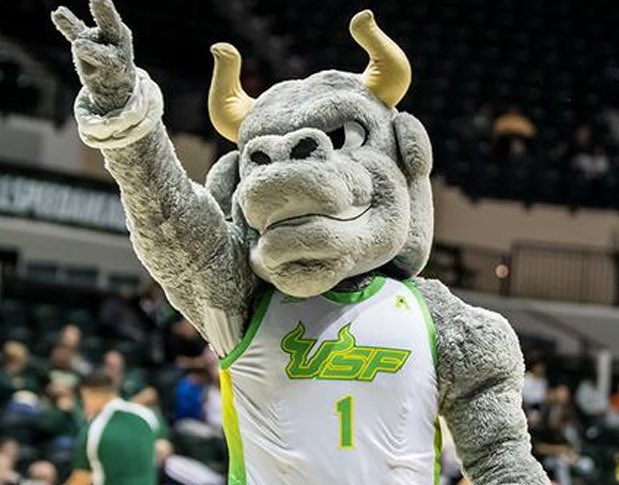 Nick Coffey tweet media