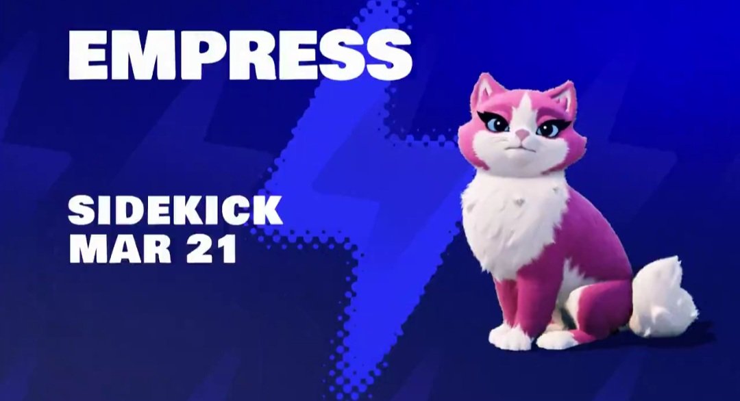 Daily Raora Panthera🐱 tweet media