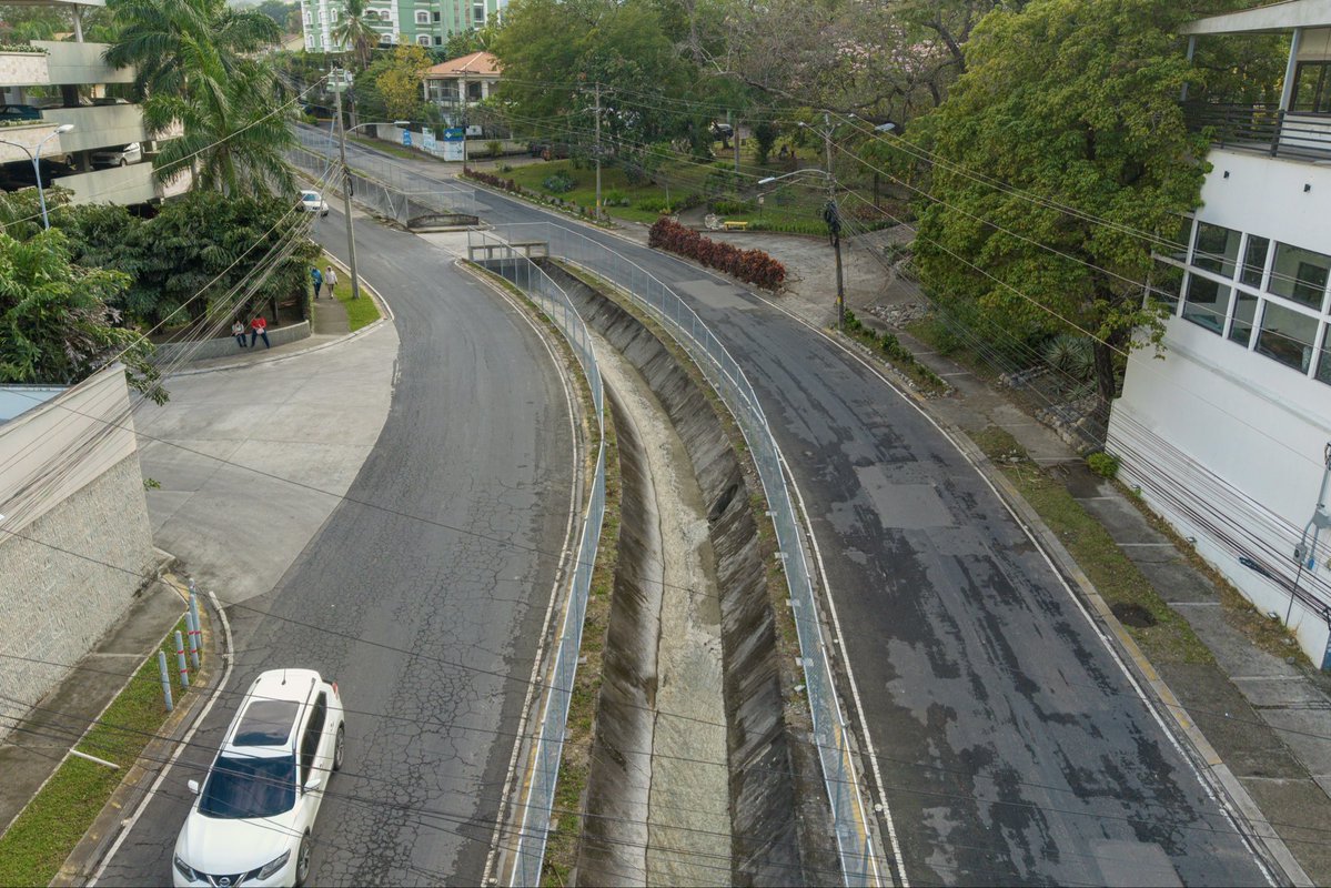 Roberto Contreras🐤 tweet media