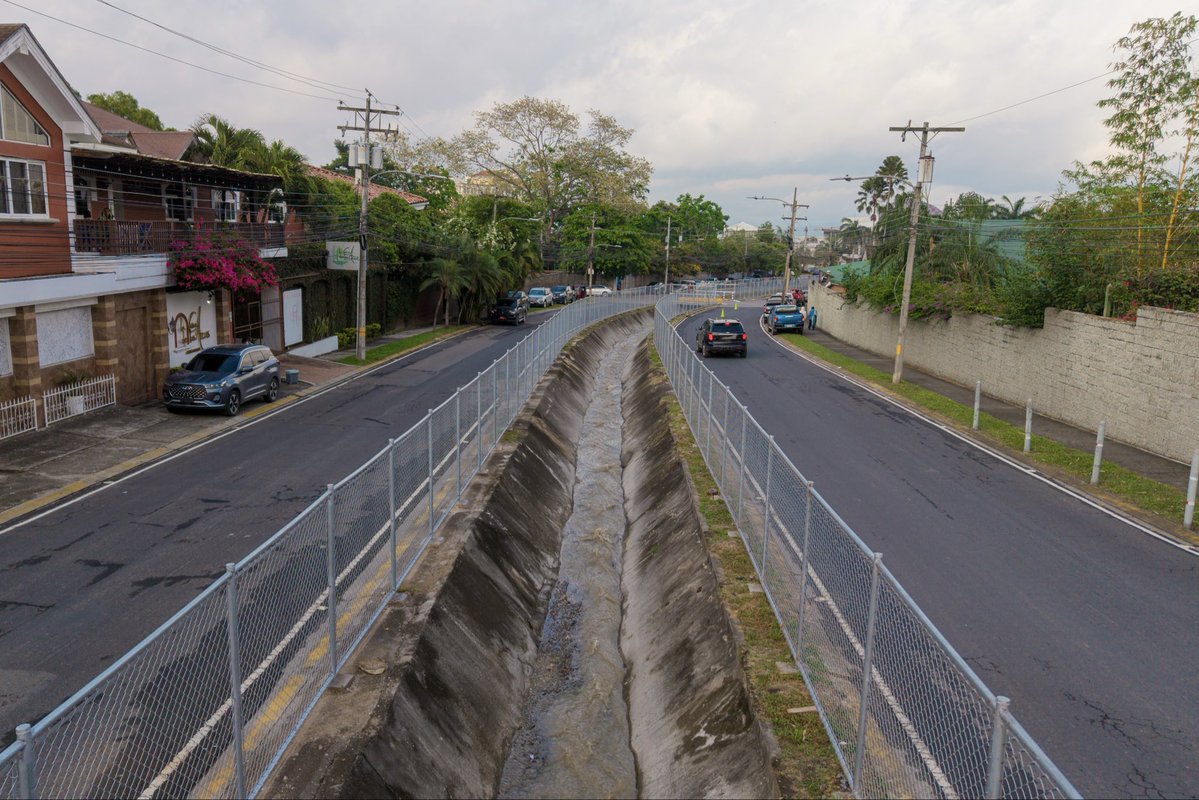 Roberto Contreras🐤 tweet media