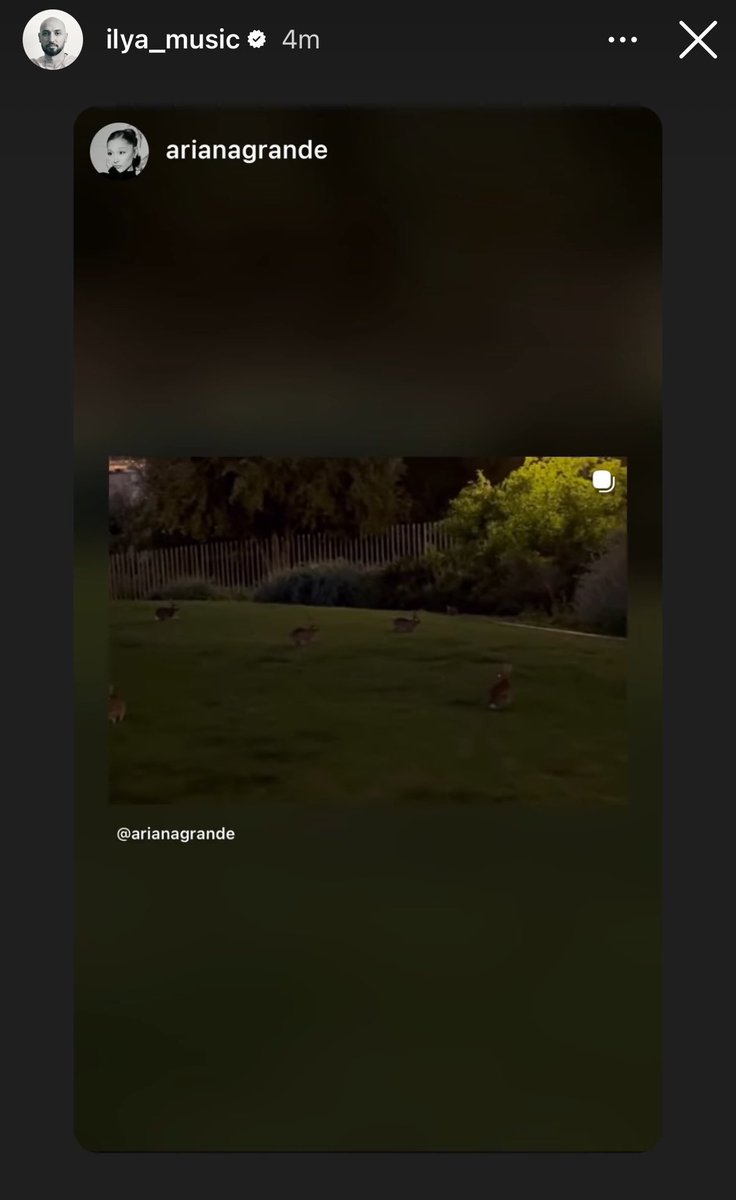 Info Ariana tweet media