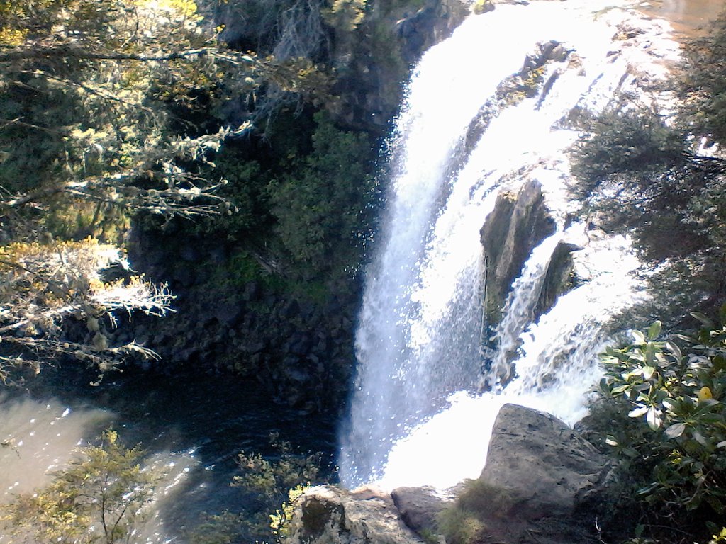 TETE｜4/5アニマーレ E-20 tweet media