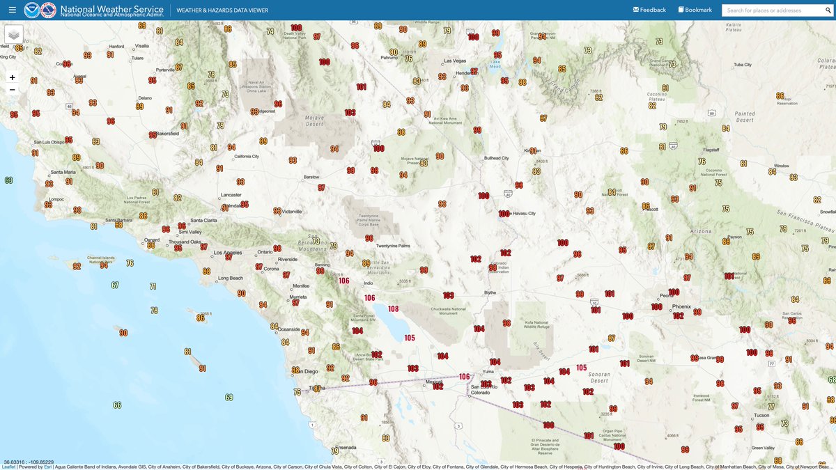 Thierry Goose tweet media