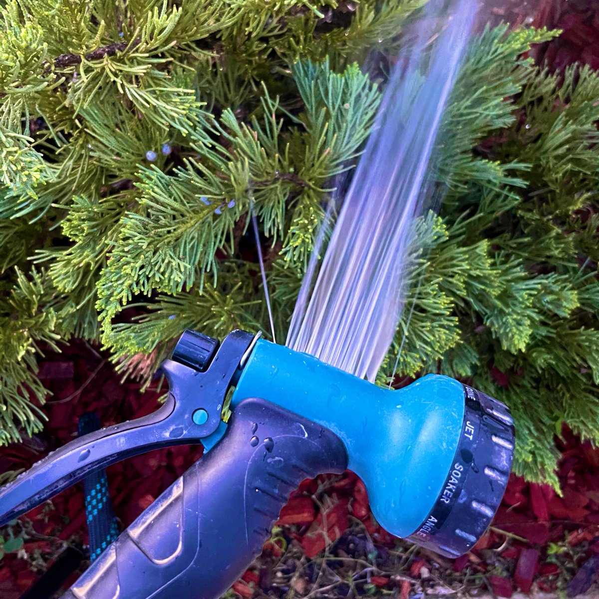 𝚃𝙷𝙴 𝙱𝚊𝚜𝚎𝚍 𝚃𝚛𝚒𝚗𝚒𝚝𝚢™️ tweet media