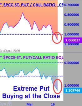 Greg Capra tweet media