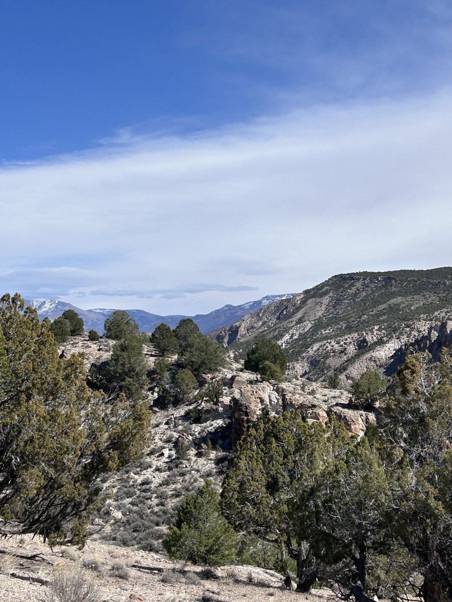 Michelle Muse tweet media