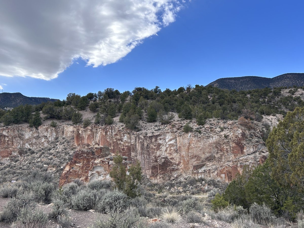 Michelle Muse tweet media