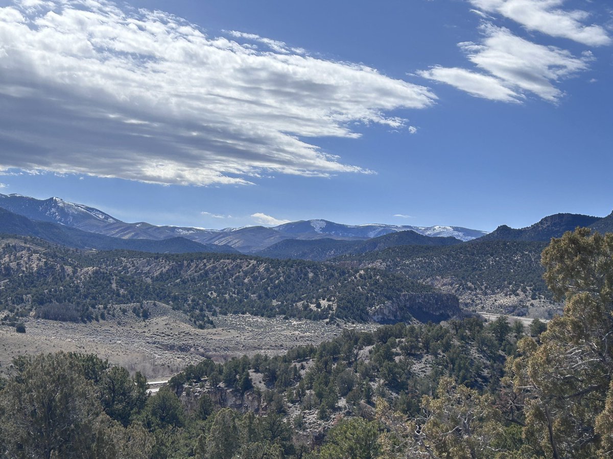 Michelle Muse tweet media