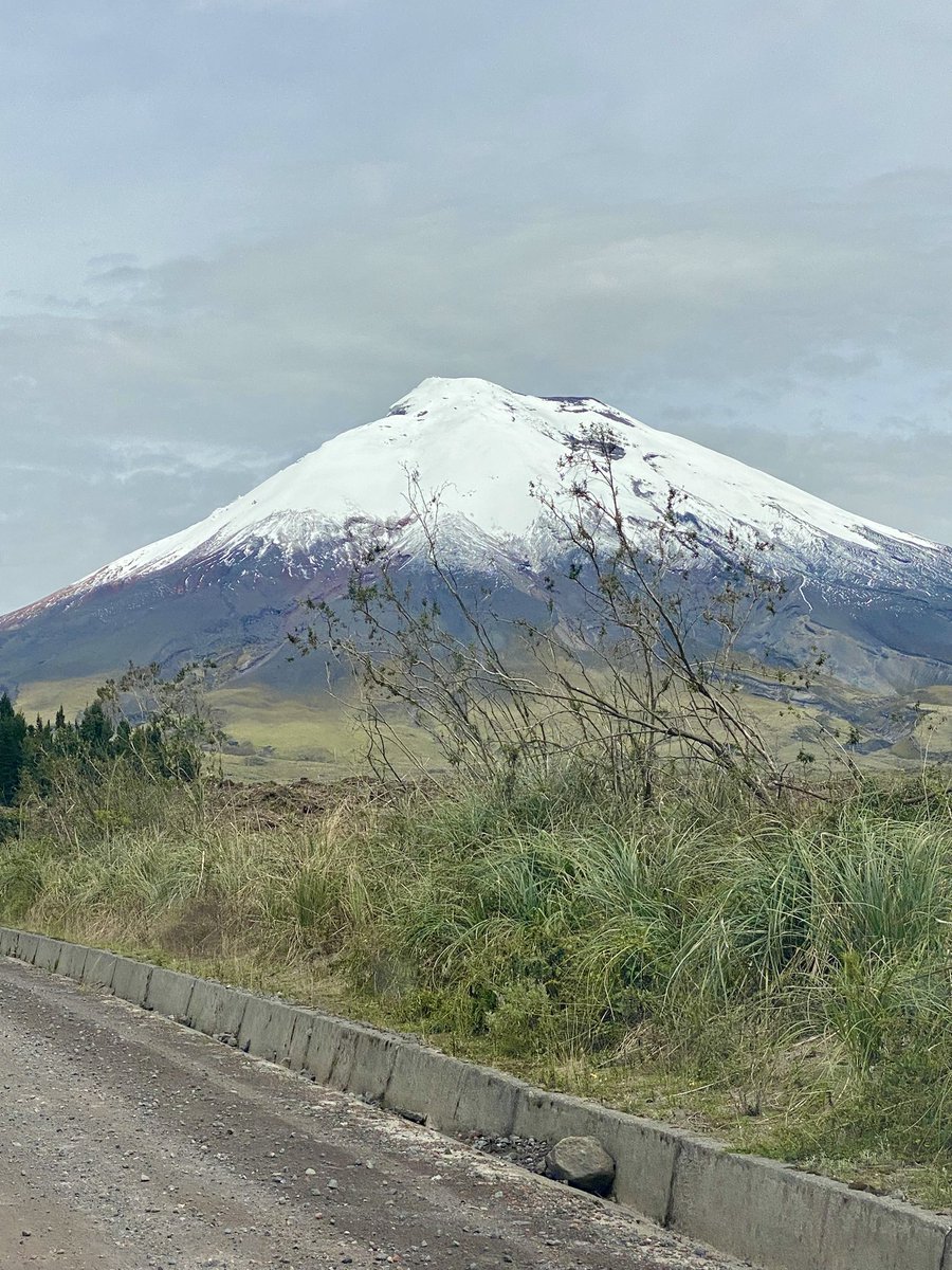 Hoy