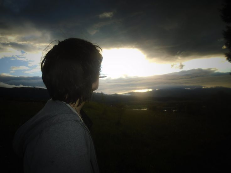 layla 💌 WILL BYERS TRUTHER tweet media