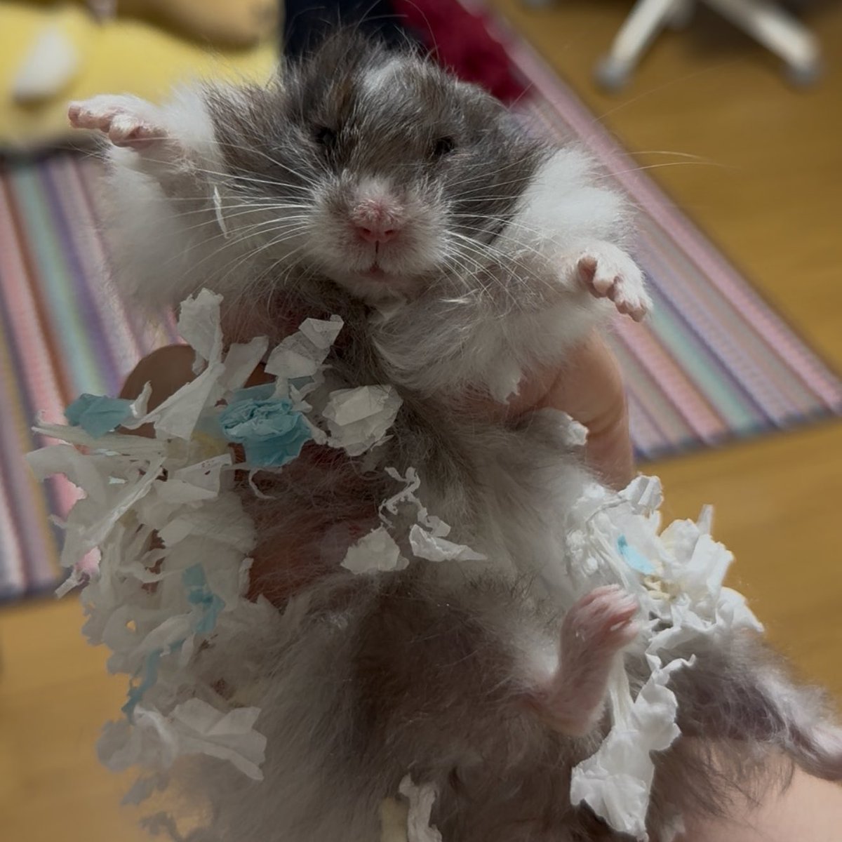 졸린 이장과 쥐인님들 tweet media