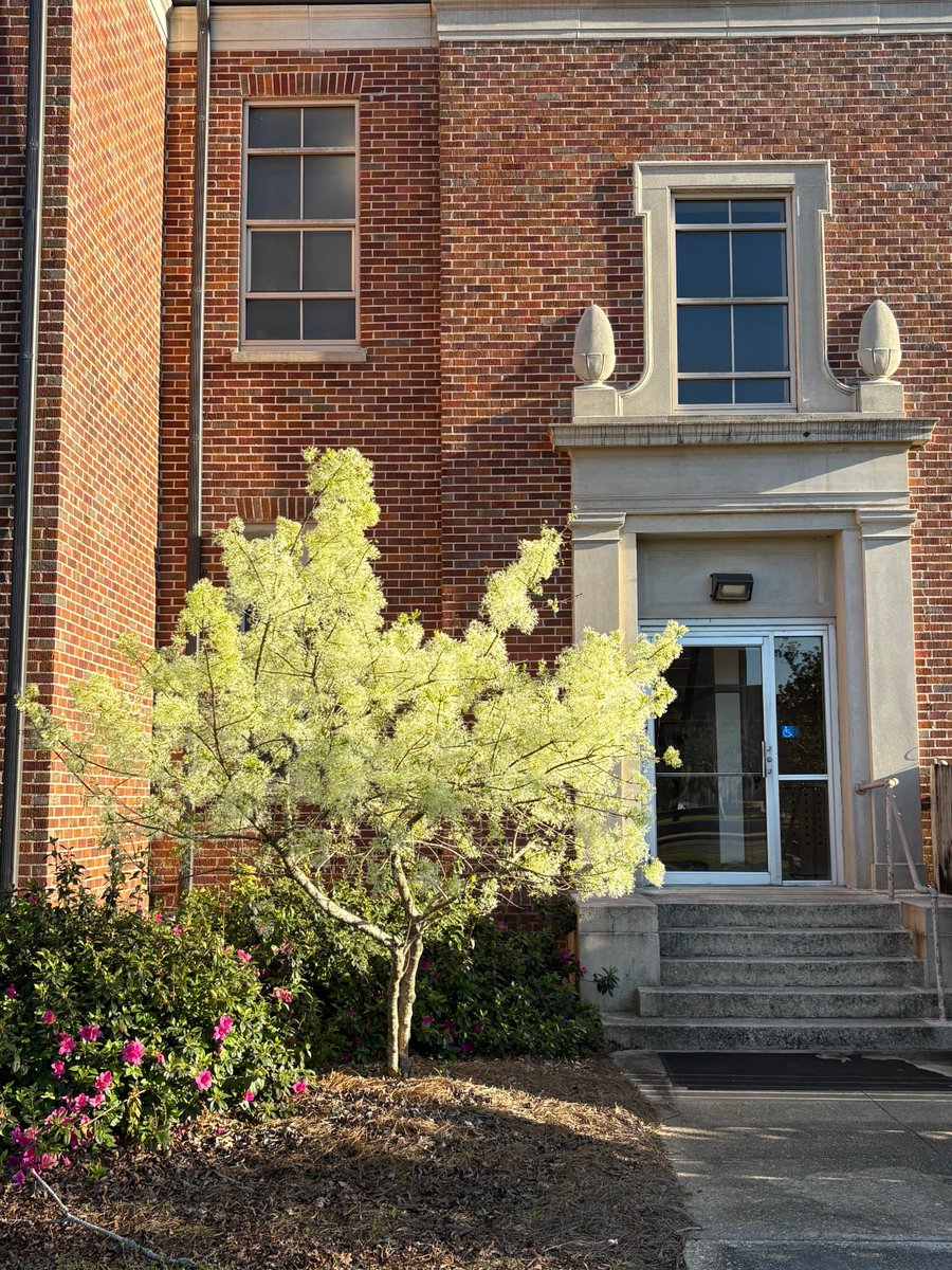 Dr. William S. Wainwright tweet media