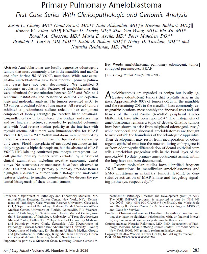 Natasha Rekhtman MD PhD tweet media