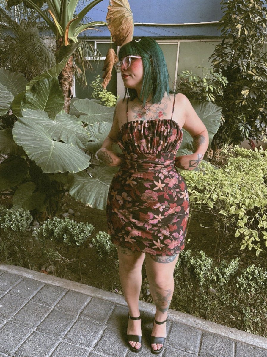 Ophelia Helena Contreras tweet media