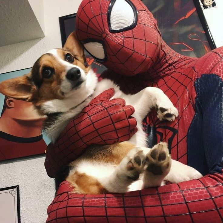 layla 💌 WILL BYERS TRUTHER tweet media