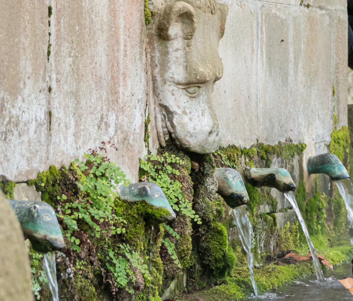 Ràdio Taradell tweet media