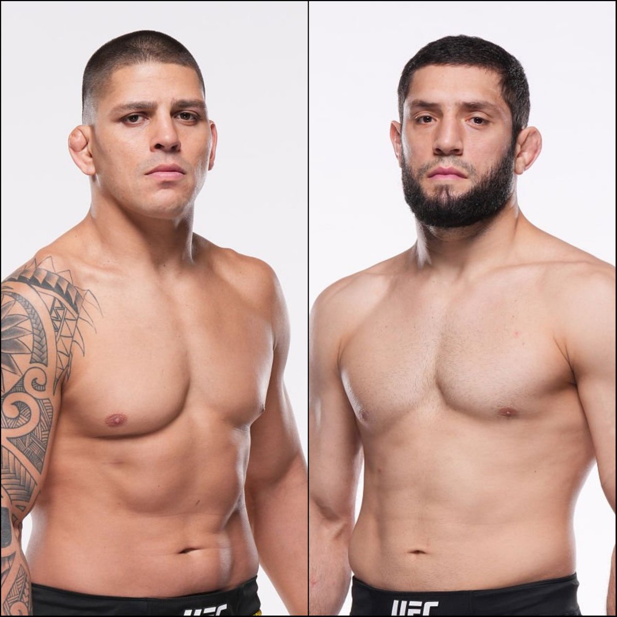 Marcel Dorff 🇳🇱🇮🇩 tweet media