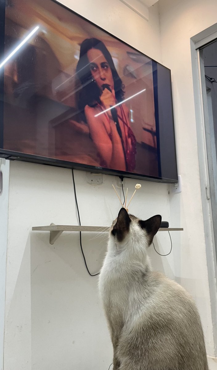 SuperBoy tweet media