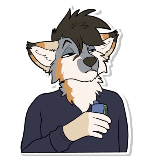 Ault Phox tweet media