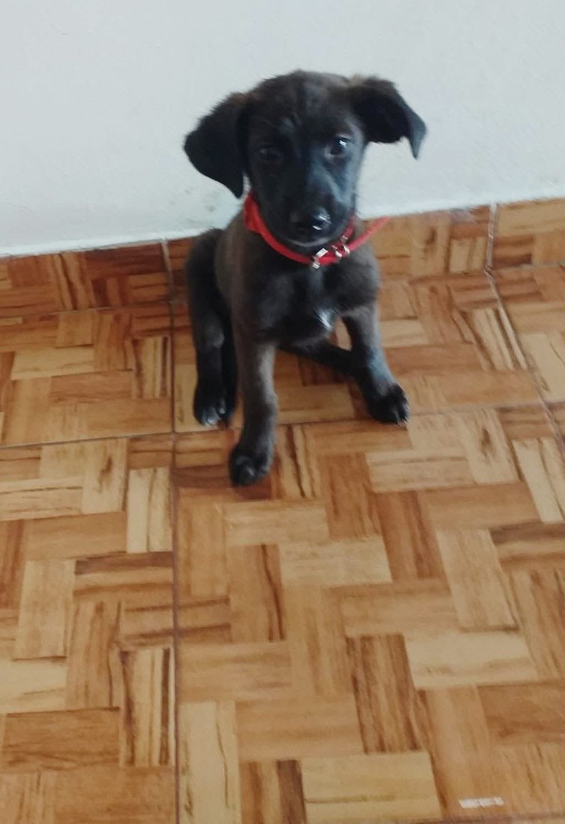 💙 Clau 💙 tweet media