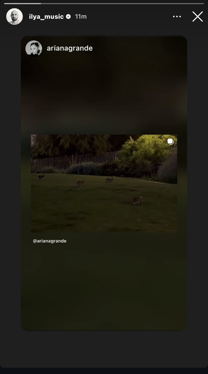 ‧₊˚ ⋅* ‧₊ tweet media