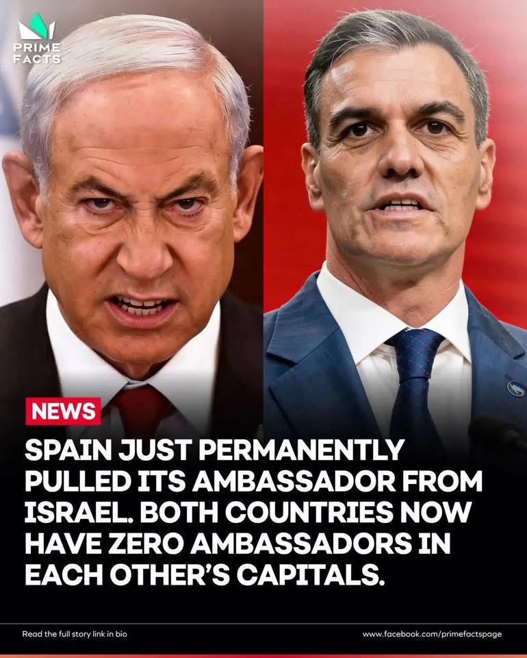 Timothy Hellman tweet media