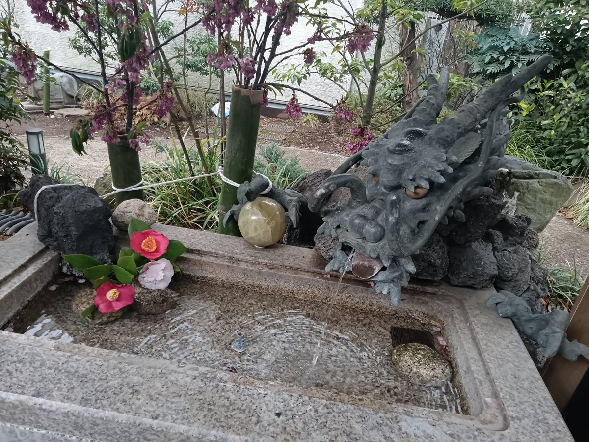 meguri_angel's tweet photo. 暖かくなってきましたね😊🌸 https://t.co/rLQhePxaMM