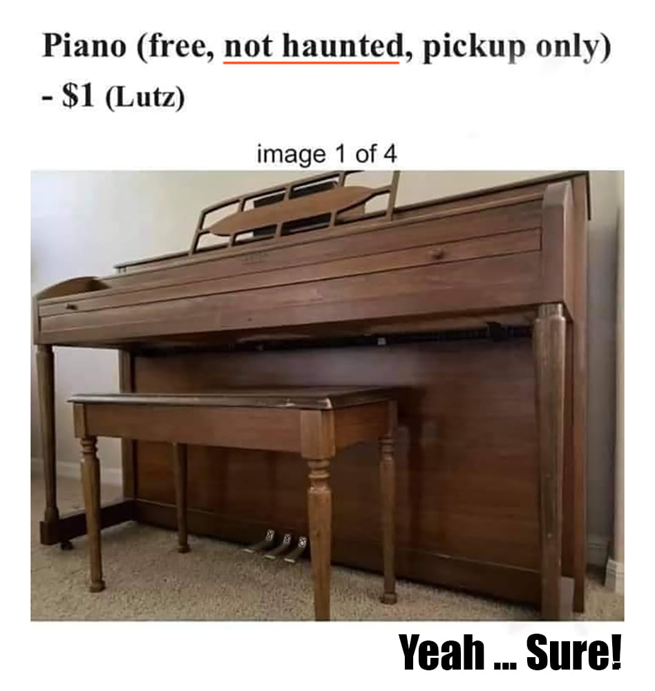 Zeducation tweet media