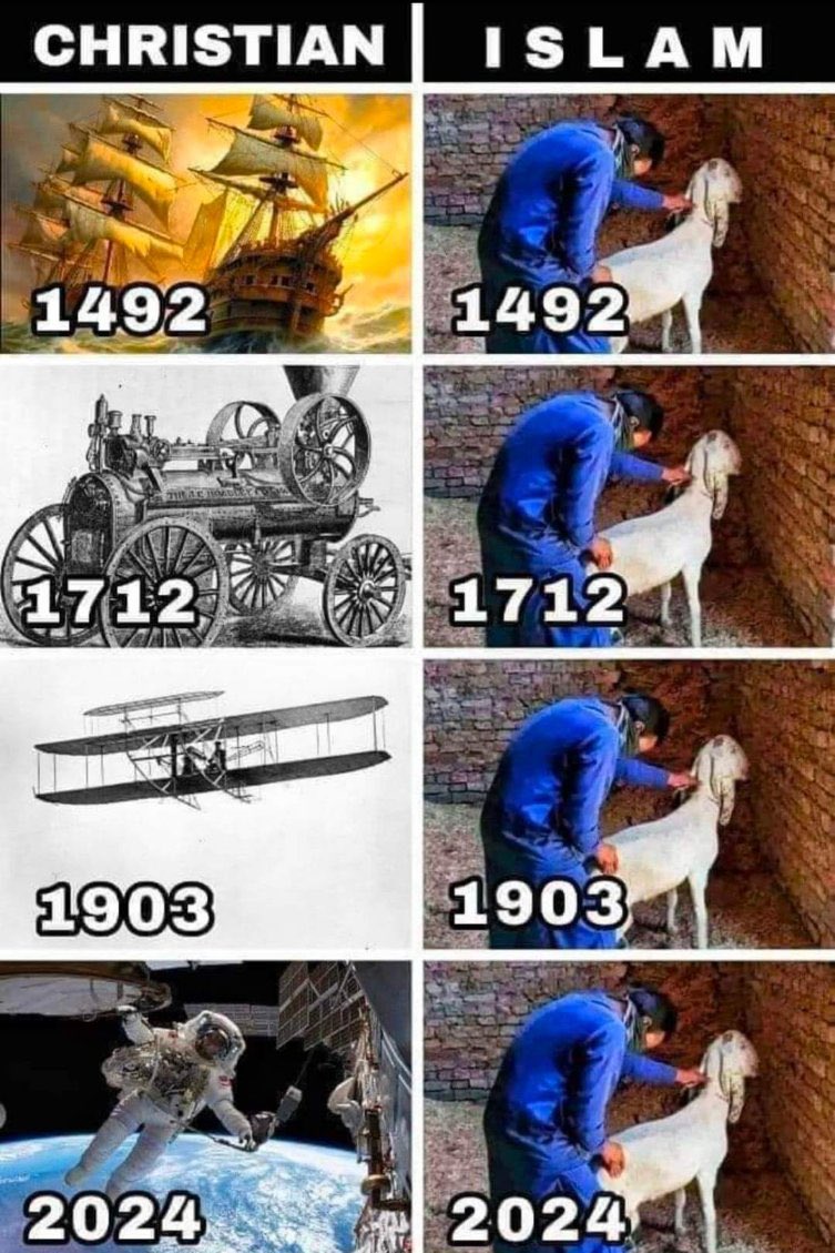 TMartin 🇺🇸 tweet media