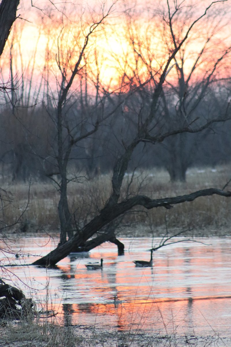 Eric Meadows tweet media